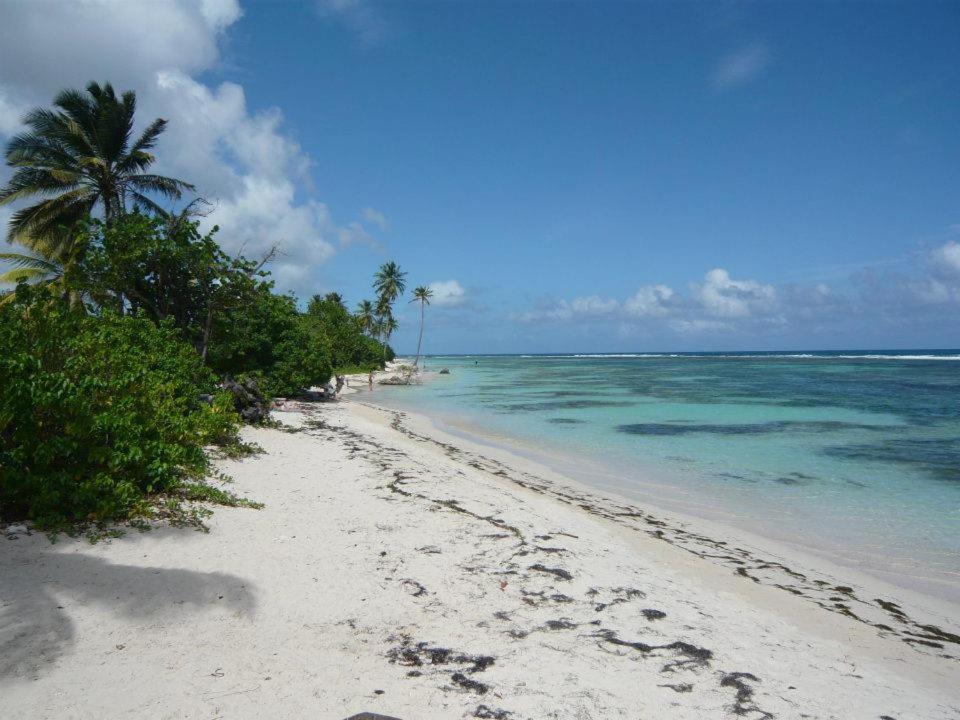 Alizes Bungalows Sainte-Anne  Exterior foto