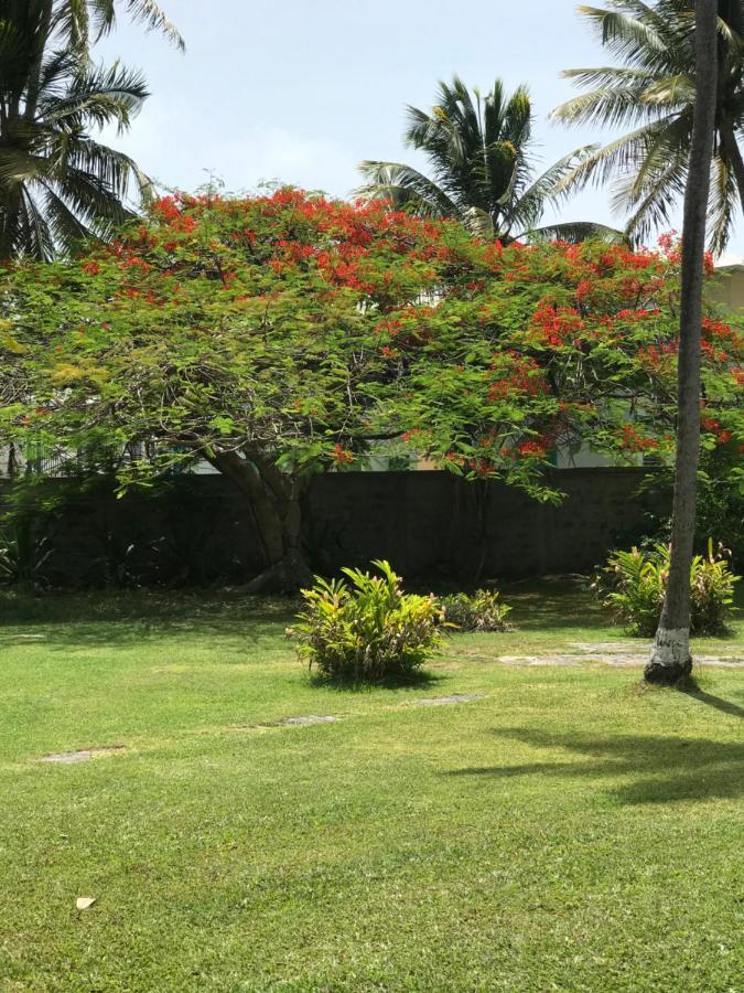Alizes Bungalows Sainte-Anne  Exterior foto